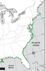 saltmarsh map.jpg - 30582 Bytes